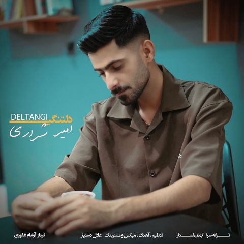 دانلود آهنگ امیر شراری به نام دلتنگی